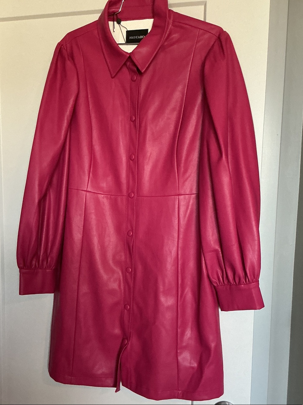Dolce Cabo Fuchsia Button-Front Leather Shirt Jacket